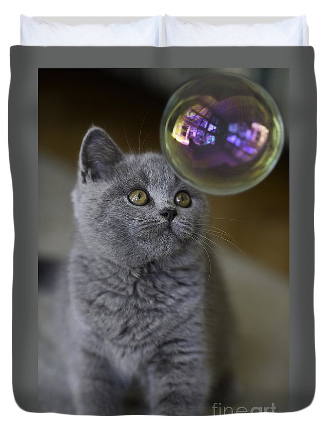 Archie With Bubble 3D Customized Duvet Cover Bedding Sets