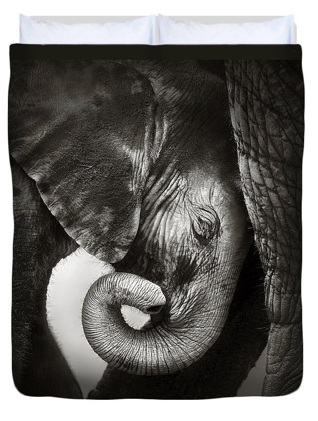 Baby Elephant Seeking Comfort 3D Customized Duvet Cover Bedding Sets