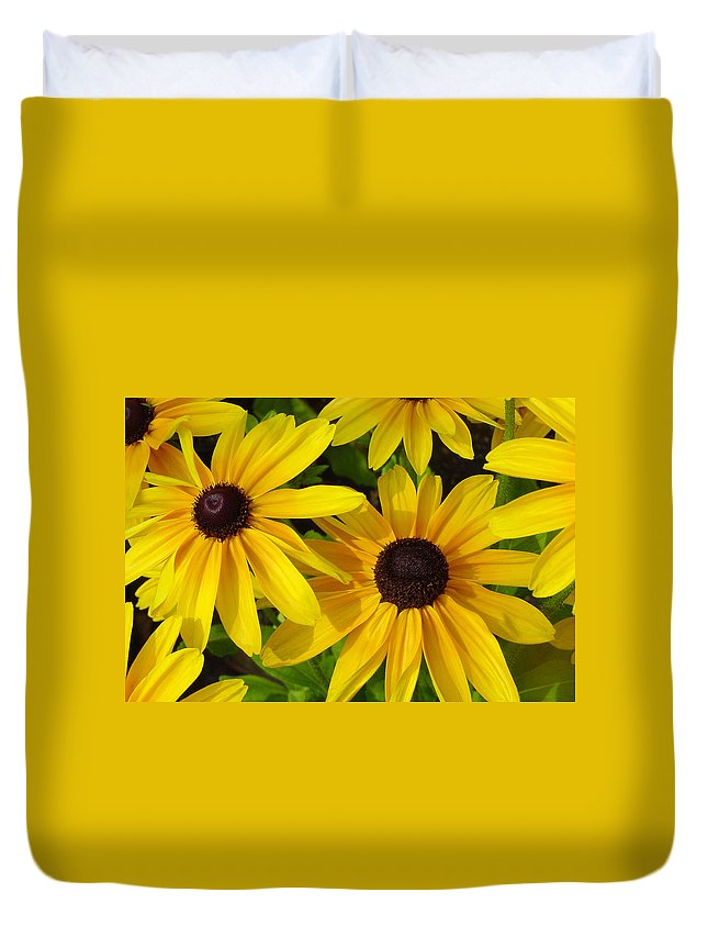Black Eyed Susans 3D Customized Duvet Cover Bedding Sets