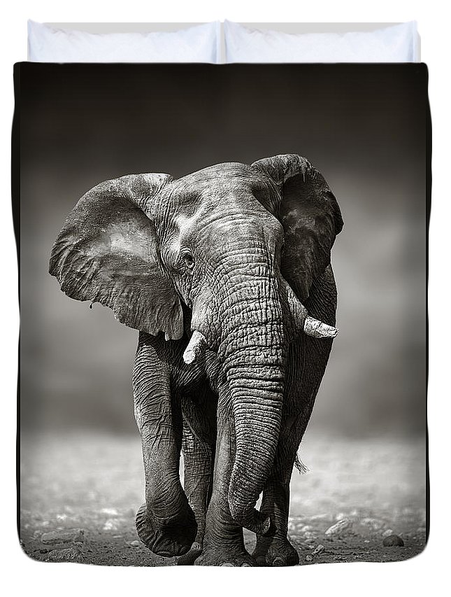 Elephant Approach From The Front 3D Customized Duvet Cover Bedding Sets