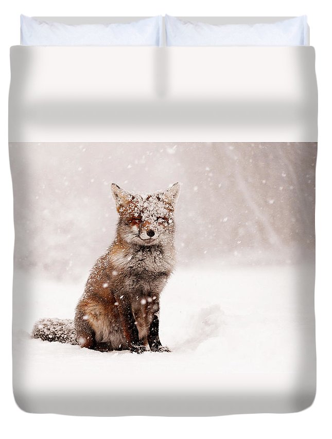 Fairytale Fox _ Red Fox In A Snow Storm 3D Customized Duvet Cover Bedding Sets