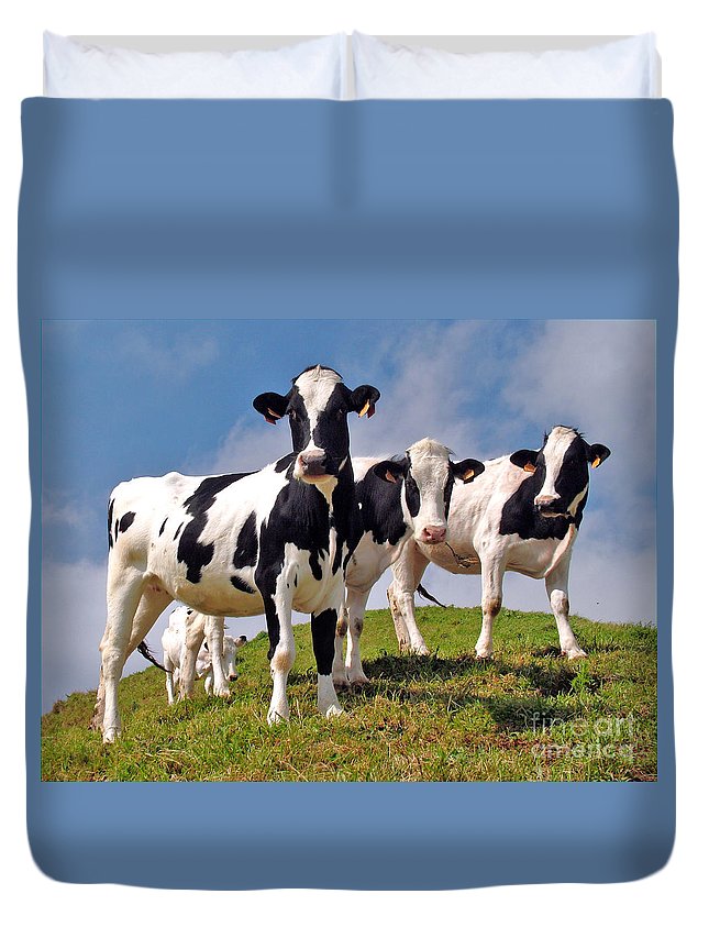 Family Portrait 3D Customized Duvet Cover Bedding Sets