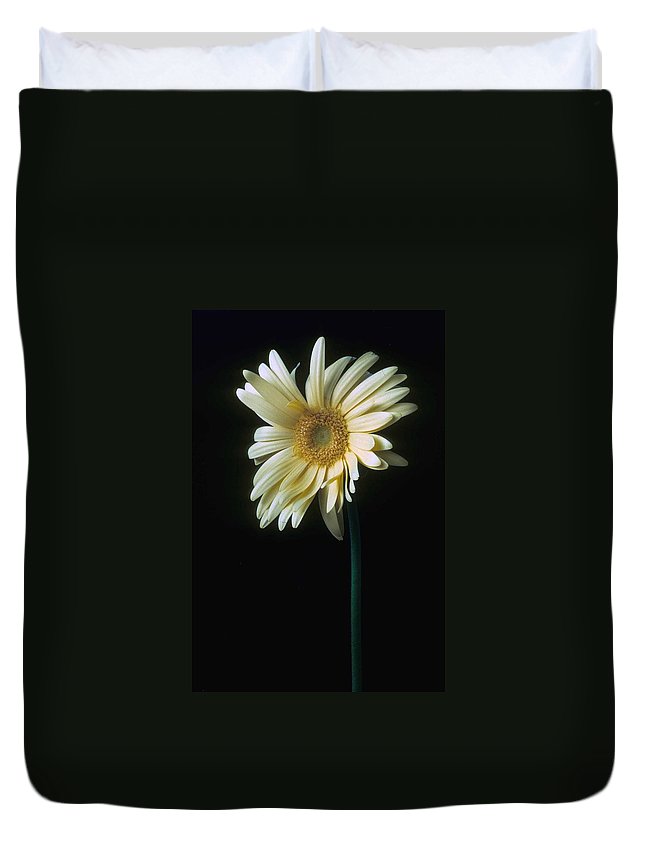 Gerber Daisy 3D Customized Duvet Cover Bedding Sets