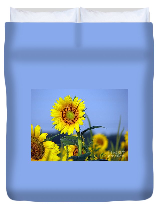 Getting To The Sun 3D Customized Duvet Cover Bedding Sets