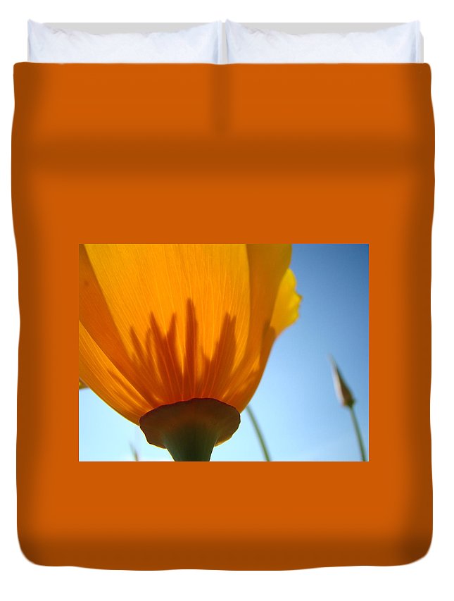 Poppies Sunlit Poppy Flower 1 Wildflower Art Prints 3D Customized Duvet Cover Bedding Sets