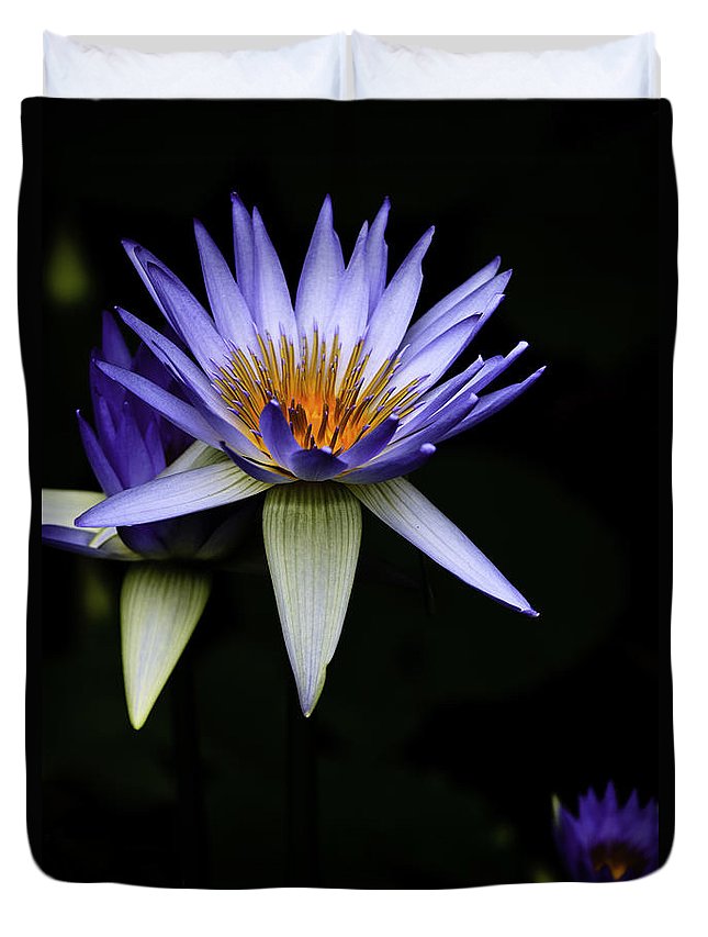 Purple Waterlily 3D Customized Duvet Cover Bedding Sets