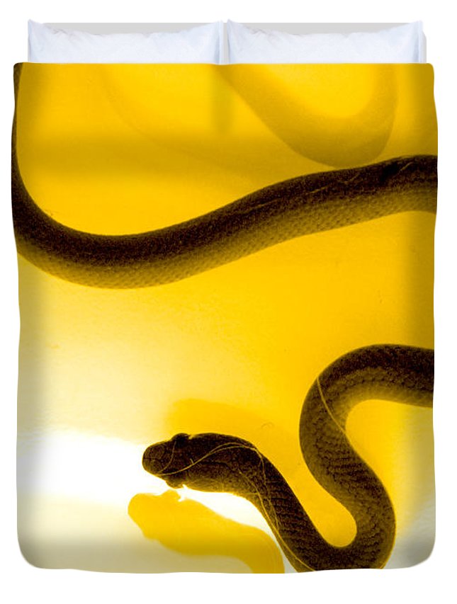 S 3D Customized Duvet Cover Bedding Sets