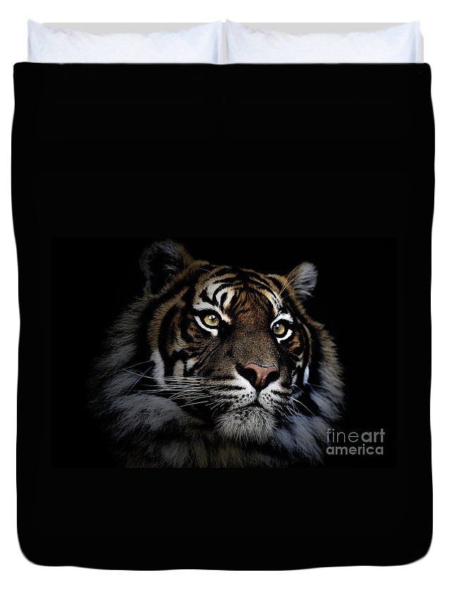 Sumatran Tiger 3D Customized Duvet Cover Bedding Sets