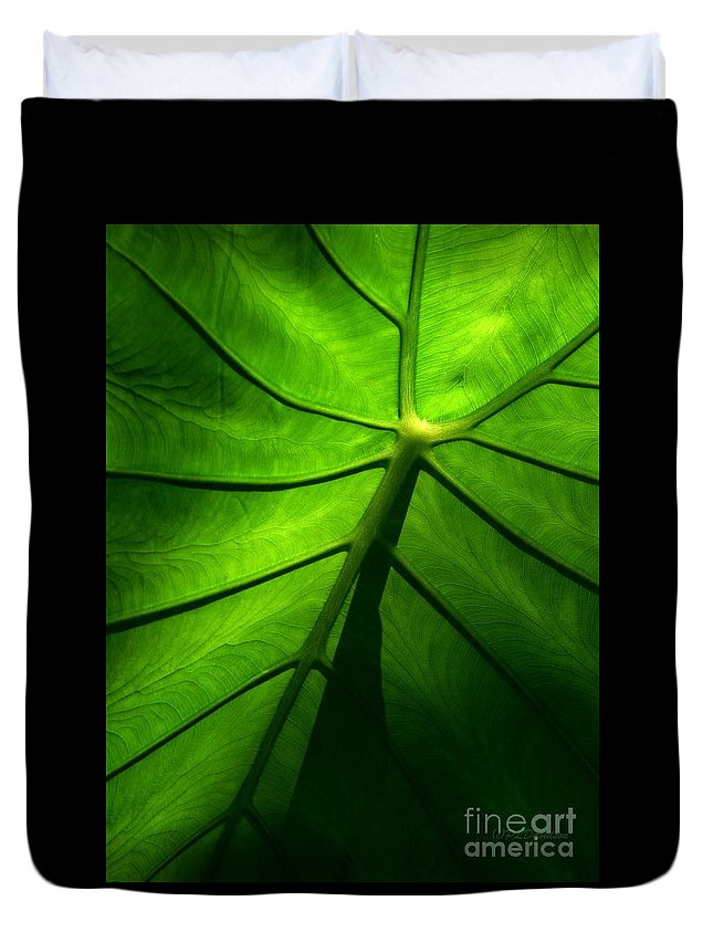 Sunglow Green Leaf 3D Customized Duvet Cover Bedding Sets
