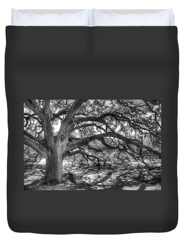 The Century Oak 3D Customized Duvet Cover Bedding Sets