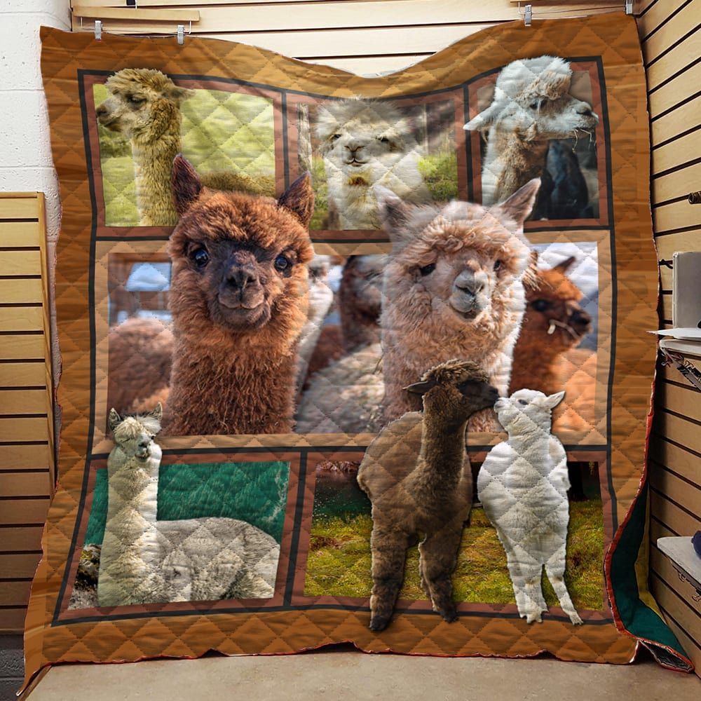 3D Alpaca Quilt Blanket Dhc191256Vt
