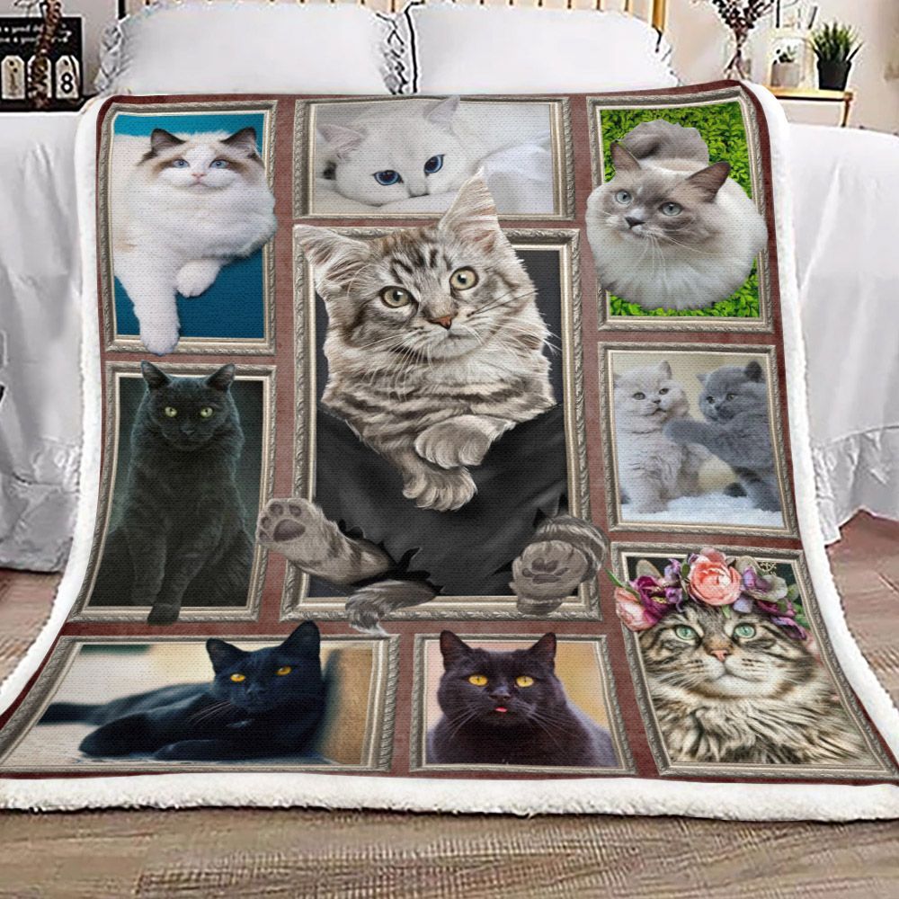 3d Cat Sherpa Fleece Blanket