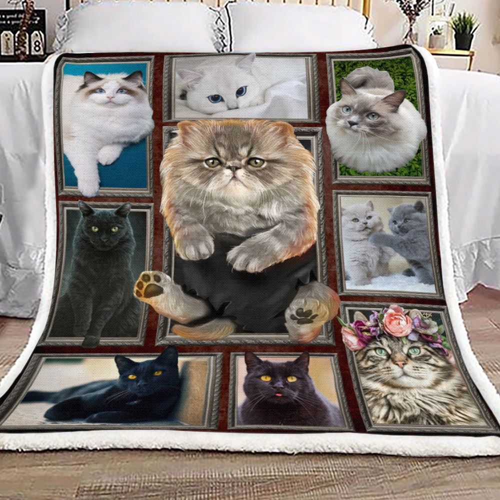 3d Cat Sherpa Fleece Blanket