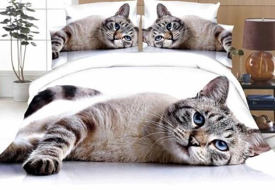 3D Cat Bedding Set