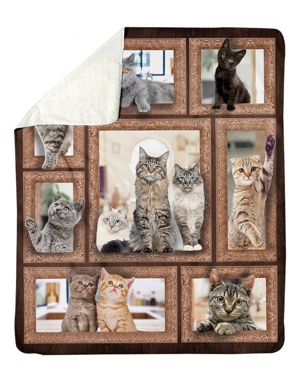 3D Cats Sherpa Fleece Blanket