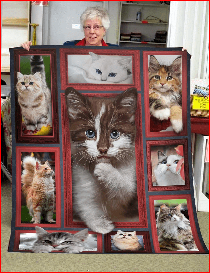 3D Huge Cat DAC081221 Quilt Blanket