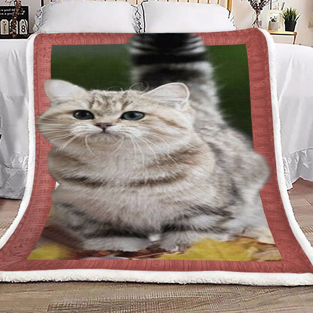 3d Huge Cat Sherpa Fleece Blanket