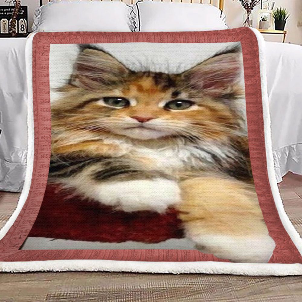 3d Huge Cat Sherpa Fleece Blanket