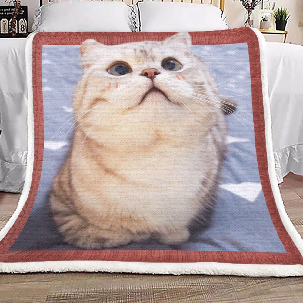 3d Huge Cat Sherpa Fleece Blanket