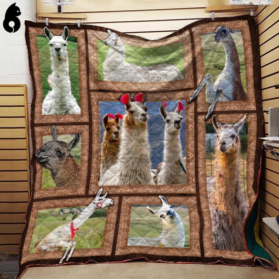 3D Llama Quilt Blanket Dhc191232Vt