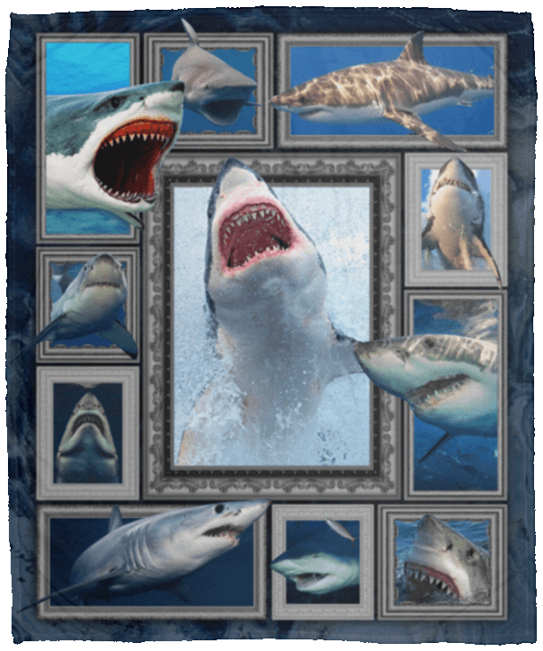 3d Shark Ocean Sherpa Fleece Blanket