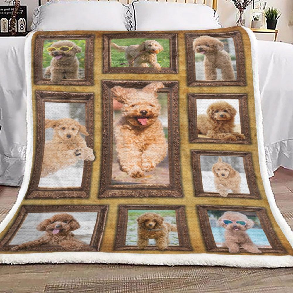 3d Toy Poodle Sherpa Fleece Blanket