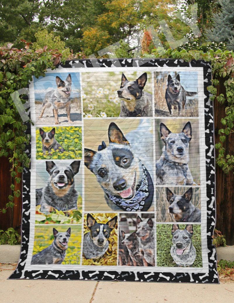 9 Australian Cattle Dog Get Right Quilt Blanket DHC3112977TD