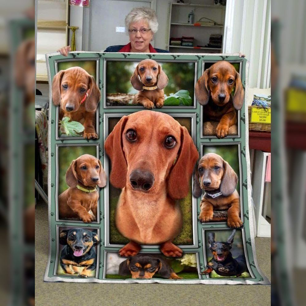 A Lovely Brown Dachshund Sherpa Fleece Blanket