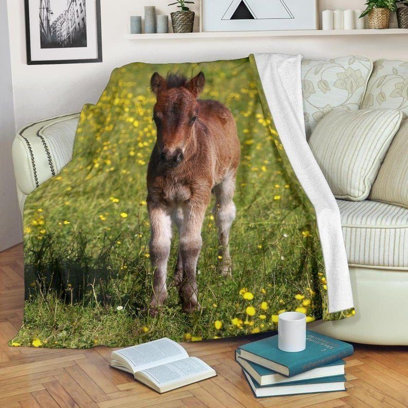 Adorable Baby Horse In Field Sherpa Fleece Blanket