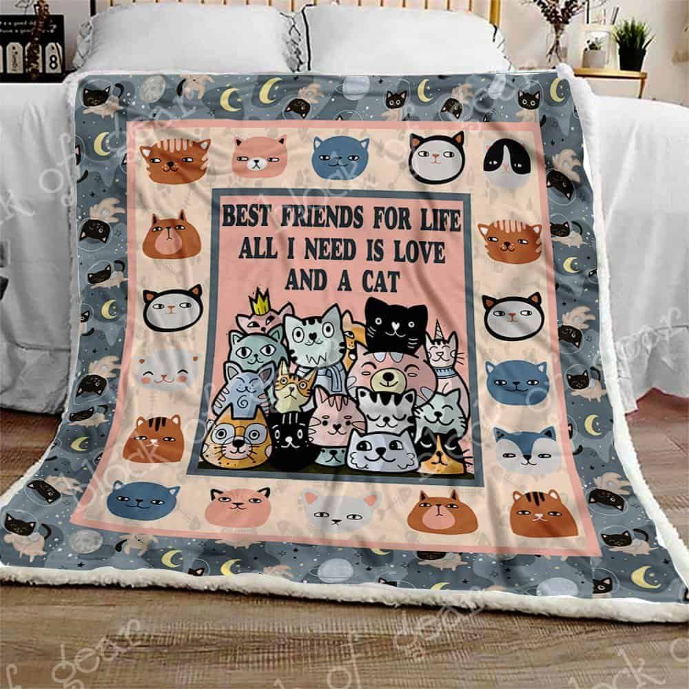 All I Need Is Love and A Cat Fleece Blanket
