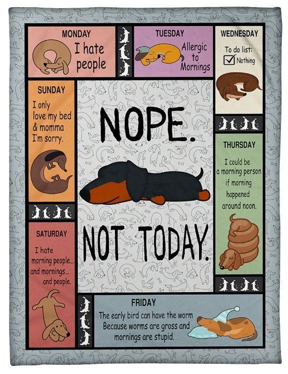 All Weekdays Nope Not Today Dachshund Sherpa Fleece Blanket