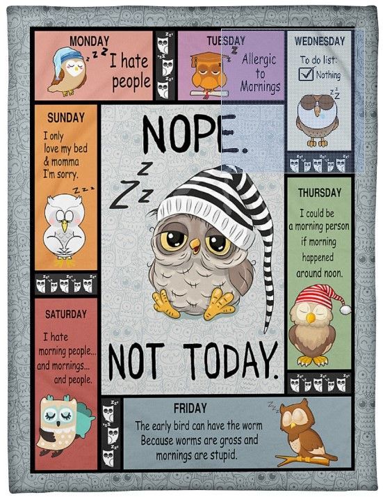 All Weekdays Nope Not Today Owls Sherpa Fleece Blanket
