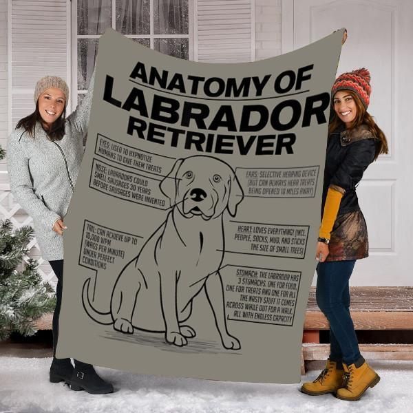 Anatomy Of A Labrador Retriever Dog Sherpa Fleece Blanket