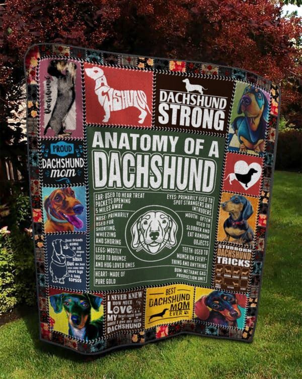 Anatomy Of Dachshund NC0809008CL Quilt Blanket