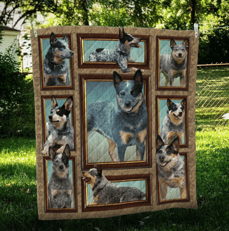 Australian Cattle Dog Exagerado Quilt Blanket DHC31121647TD