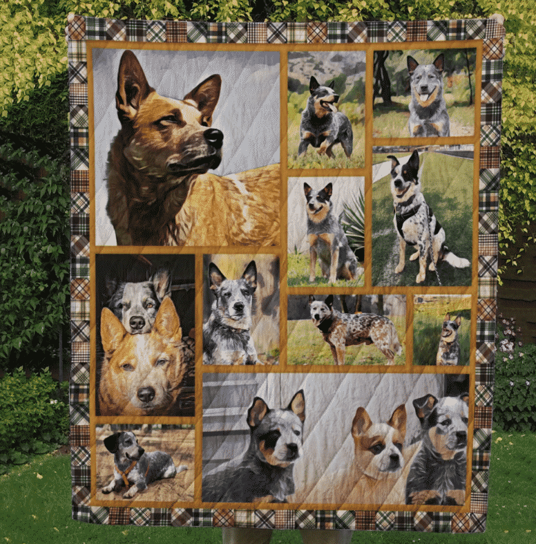 Australian Cattle Dog Make Him Sweet Quilt Blanket DHC31121824TD