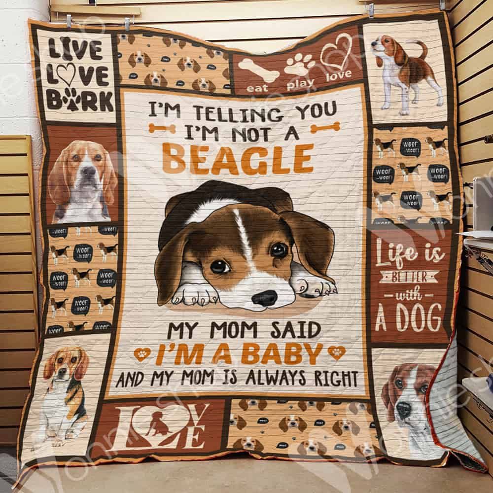 Beagle Dog Quilt Blanket DHC0102472TD