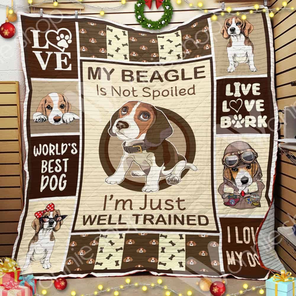 Beagle Dog Quilt Blanket DHC0102932TD