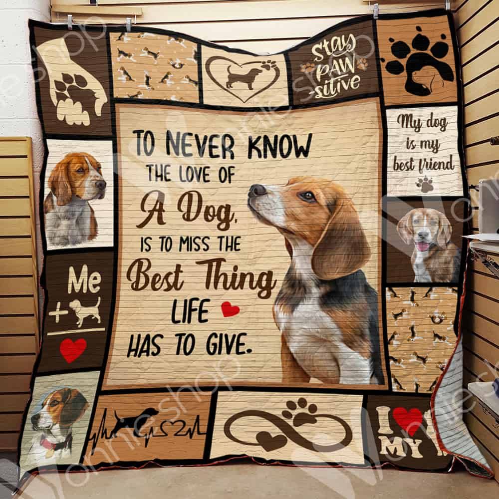 Beagle Dog Quilt Blanket DHC0102995TD