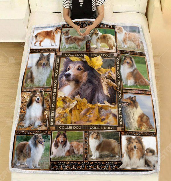 Beautiful Collie Dog Sherpa Fleece Blanket