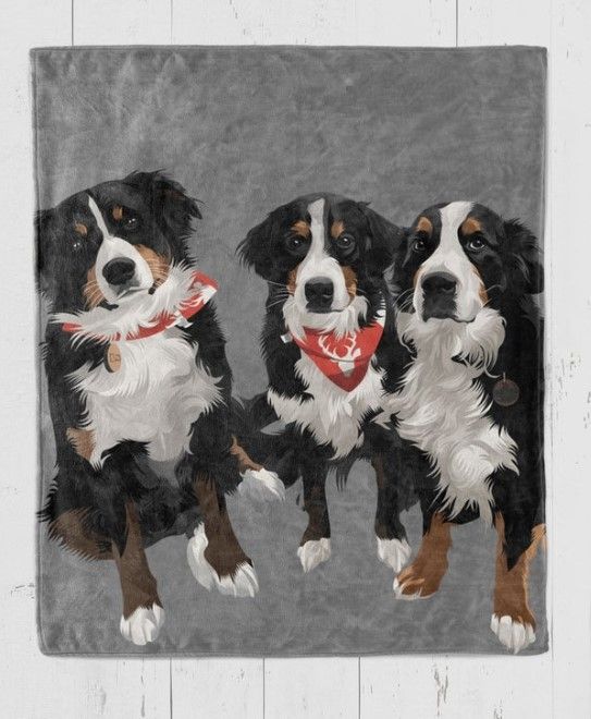 Bernese Mountain Dog Sherpa Fleece Blanket