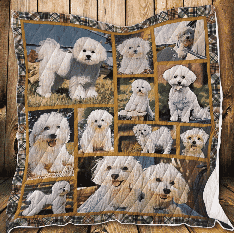 Bichon Frise Quilt Blanket DHC13124058VT