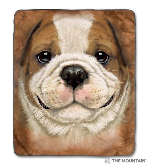 Big Face Bulldog Puppy Sherpa Fleece Blanket