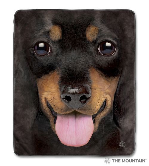 Big Face Dachshund Puppy Sherpa Fleece Blanket