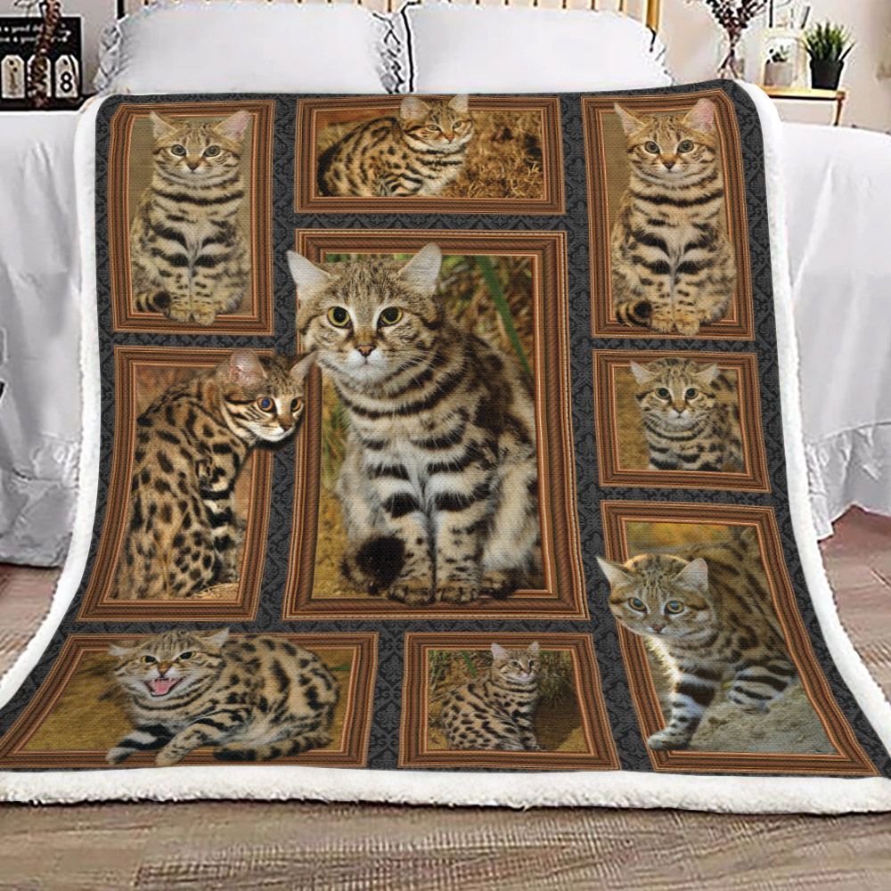 Black Footed Cat Felis Nigripes Sherpa Fleece Blanket