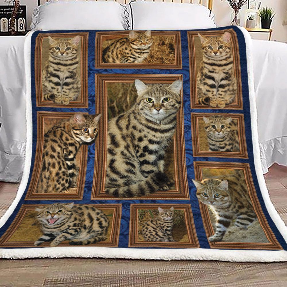Black Footed Cat Felis Nigripes Sherpa Fleece Blanket