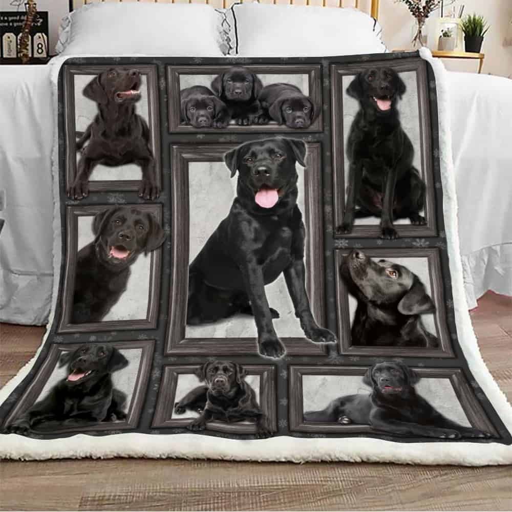 Black Labrador Retriever Dog Sherpa Fleece Blanket