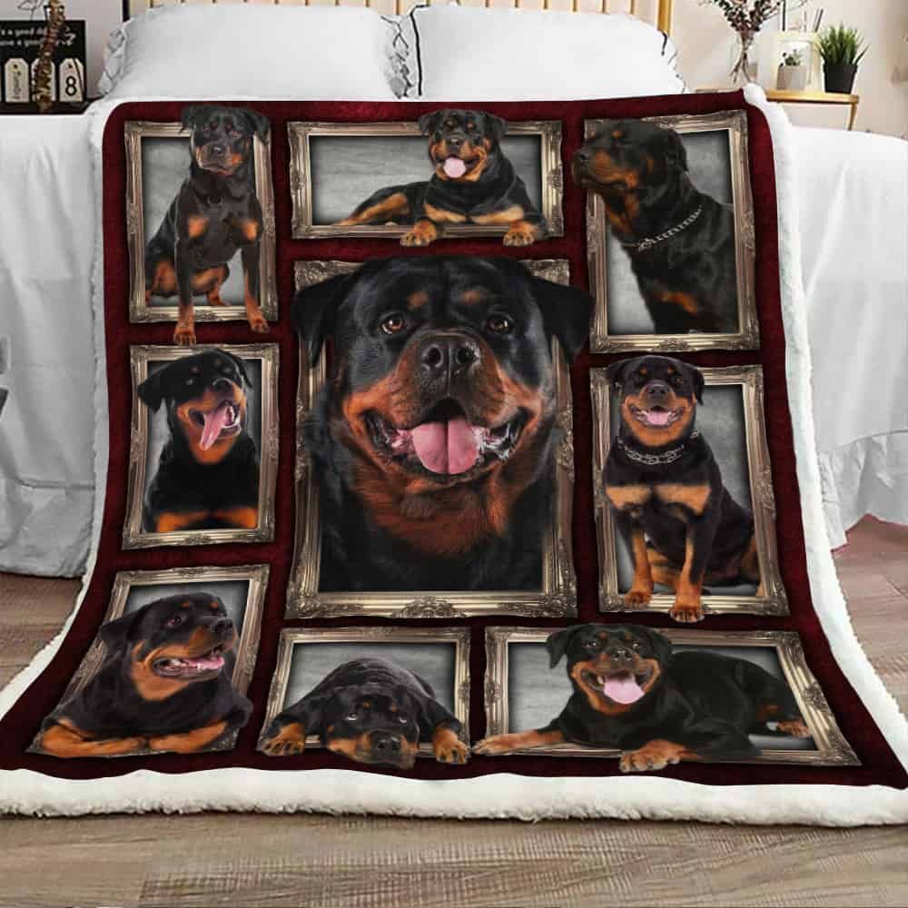 Black Rottweiler Dog Sherpa Fleece Blanket