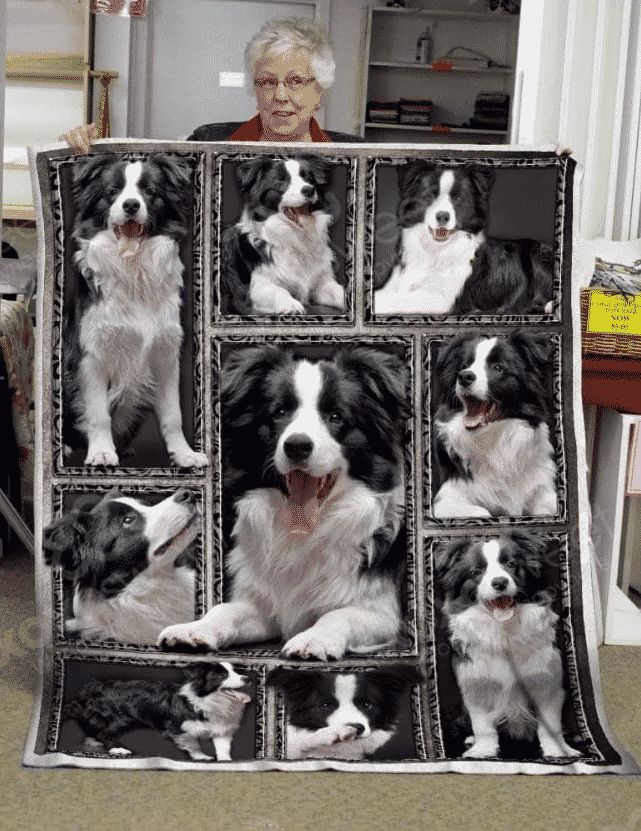 Border Collie 01 Border Collie 3009 Quilt Blanket DHC3112799TD
