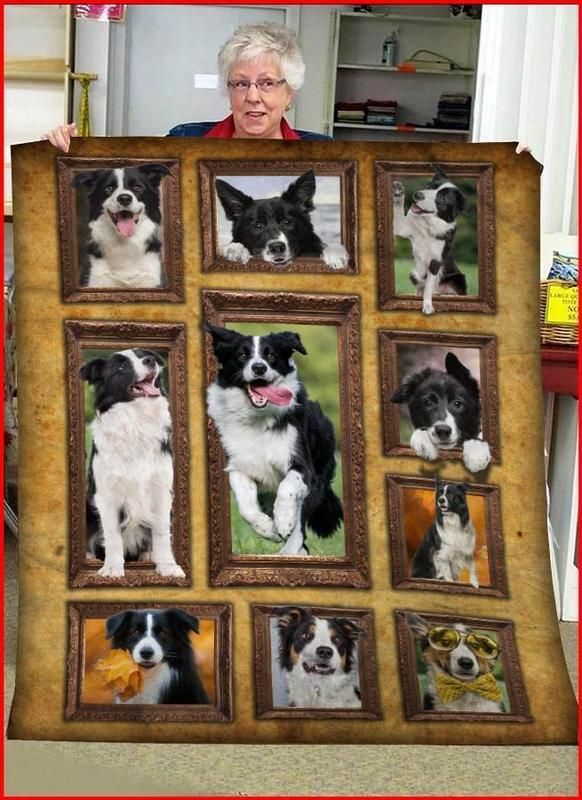 Border Collie Sherpa Fleece Blanket